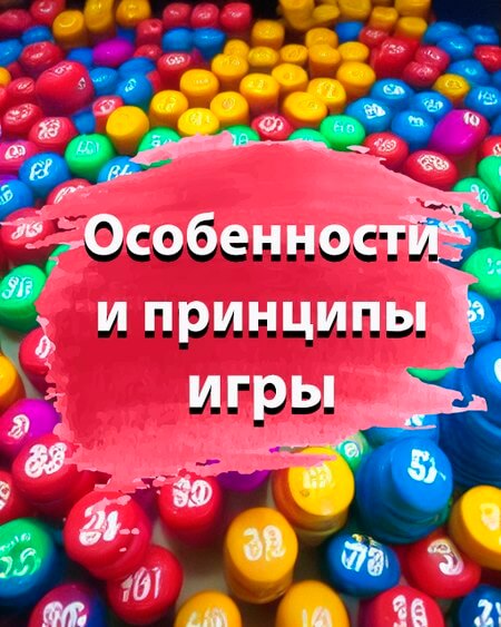 Особенности и принципы игры